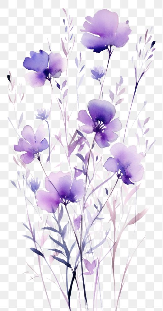 PNG Blossom flower purple plant.
