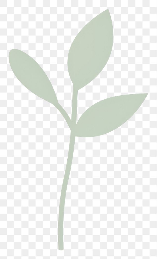 PNG  Plant leaf white background growth. AI generated Image by rawpixel.