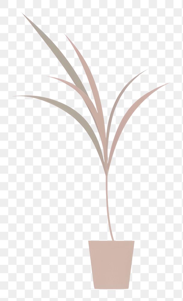 PNG  Plant art white background houseplant. AI generated Image by rawpixel.
