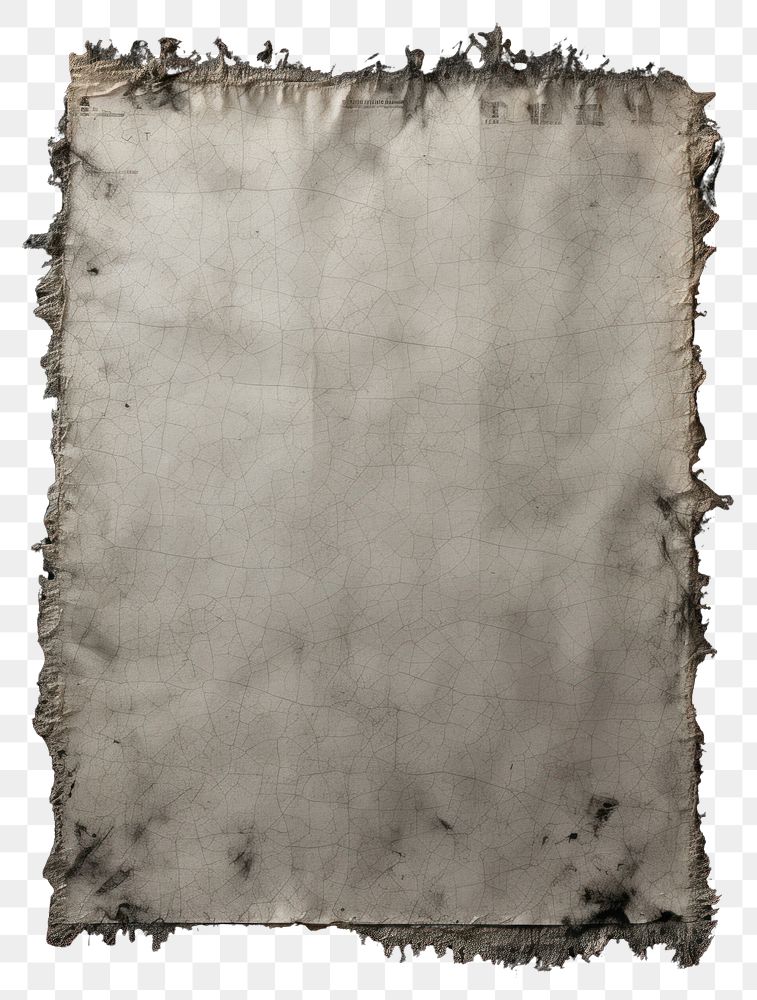 PNG  White paper with burnt backgrounds texture distressed.