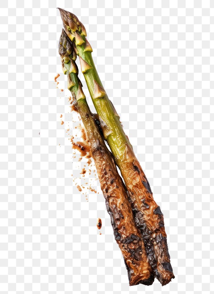 PNG  Asparagus with burnt vegetable plant food.