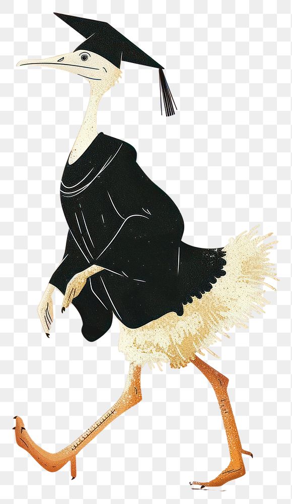 PNG Ostrich graduates wearing a graduation gown run floating animal art ostrich.