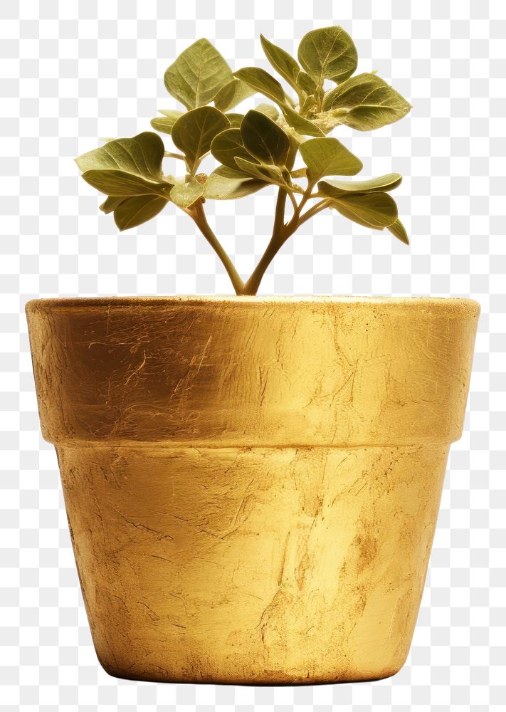 PNG  Flower pot plant vase gold. AI generated Image by rawpixel.