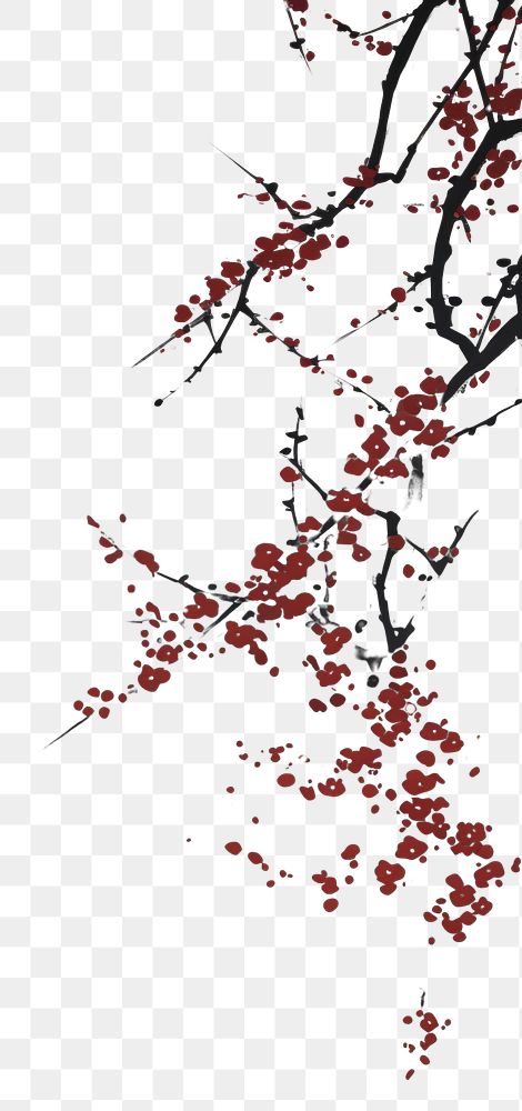 PNG  Plum blossom branch outdoors nature plant. 