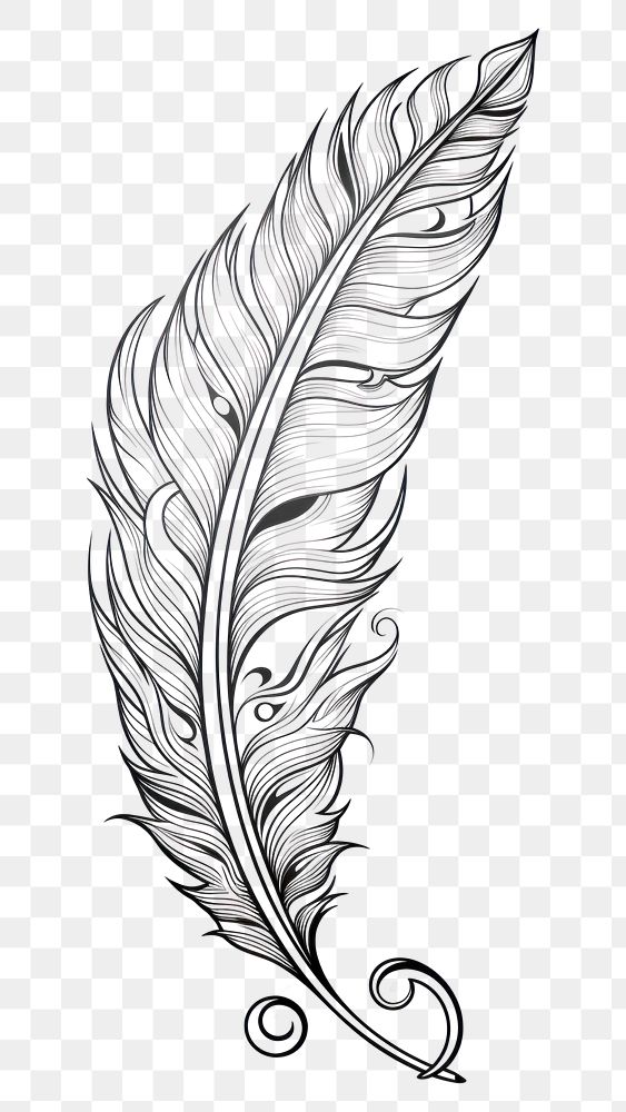 PNG Feather sketch pattern drawing