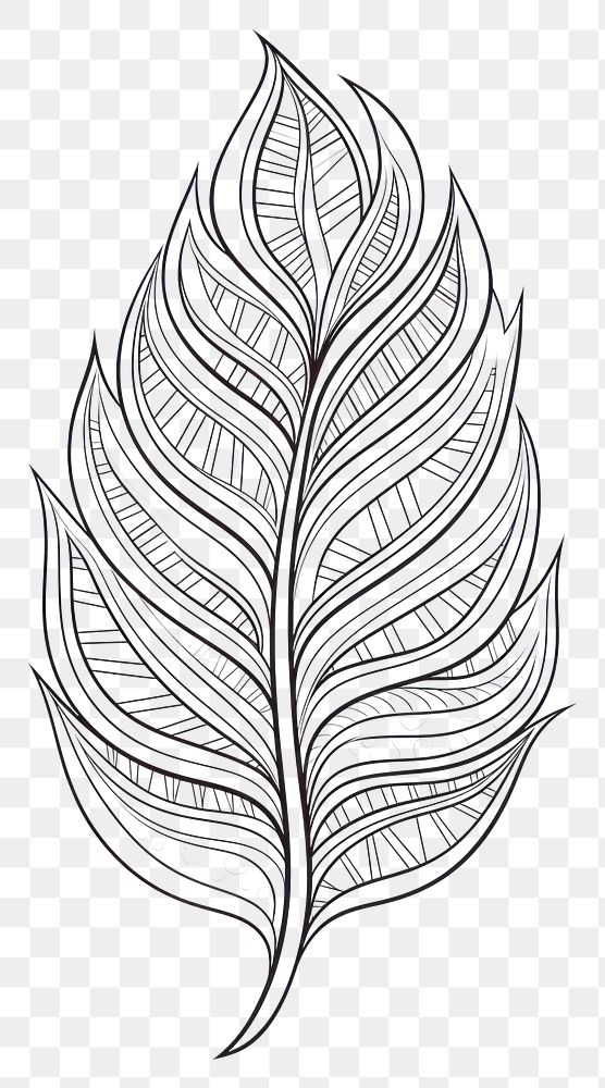 PNG Leaf sketch drawing doodle. 