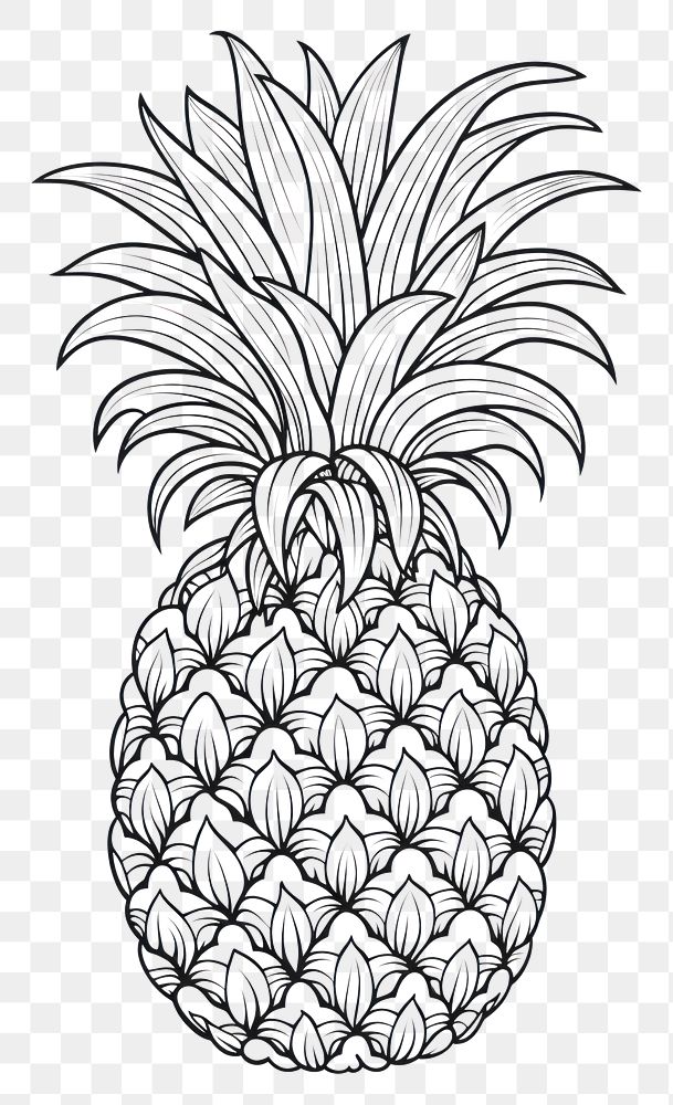 PNG Pine apple pineapple sketch fruit. AI generated Image by rawpixel.