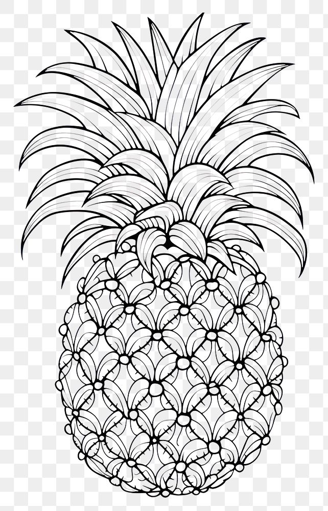 PNG Pine apple pineapple sketch fruit. 
