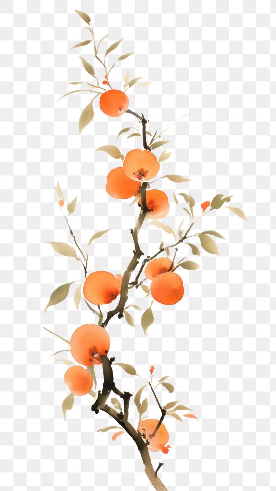 PNG  Peach branch painting plant fruit. AI generated Image by rawpixel.