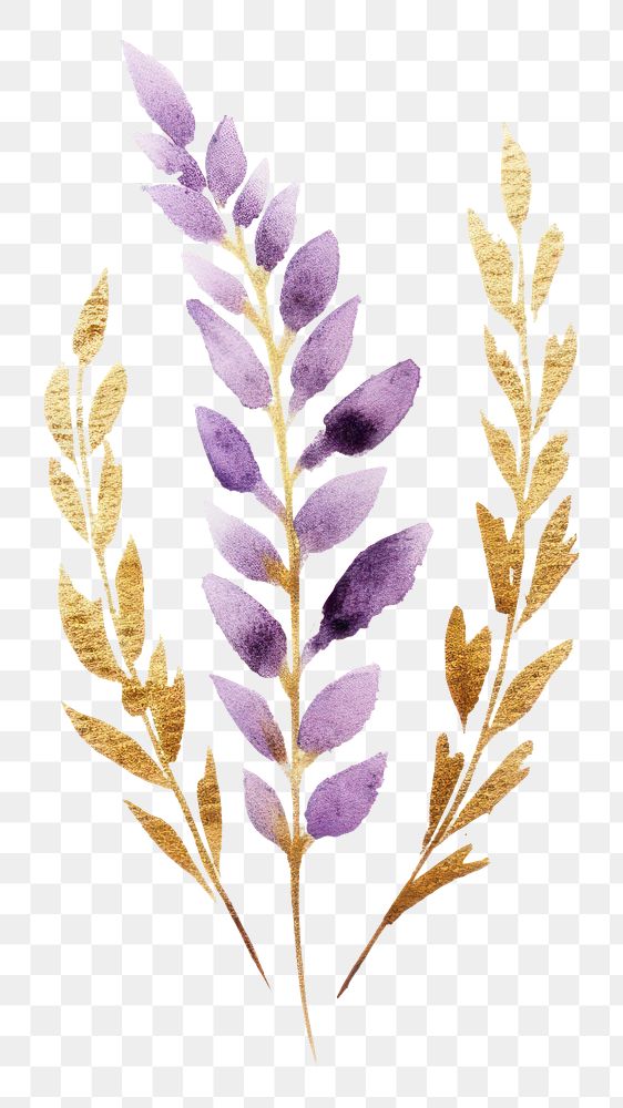 PNG  Golden glitter outline stroke with purple watercolor lavender flower plant astragalus.