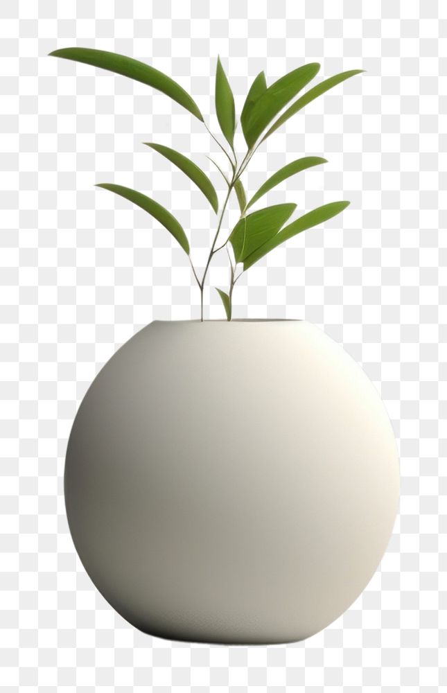 PNG Minimal plant leaf vase. AI generated Image by rawpixel.
