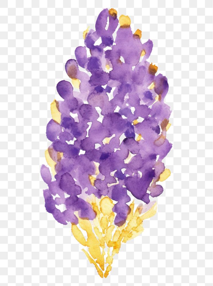 PNG  Purple watercolor and golden glitter outline stroke hyacinth lavender amethyst jewelry.