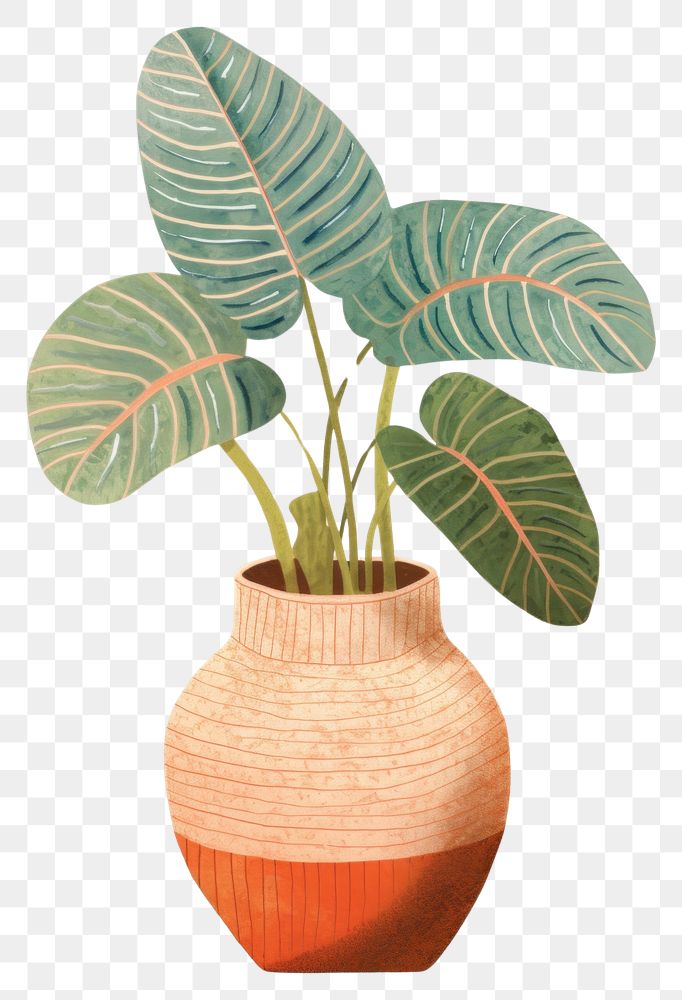 PNG  Indoor plant on a vase leaf houseplant flowerpot. AI generated Image by rawpixel.