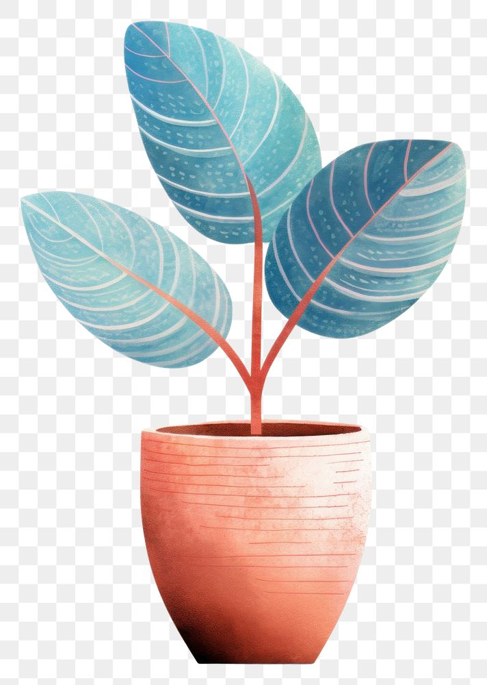 PNG  Indoor plant on a blue vase leaf houseplant flowerpot. AI generated Image by rawpixel.