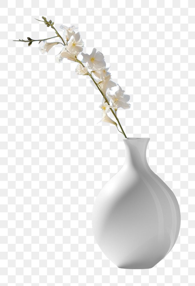 PNG White Vase vase flower plant.
