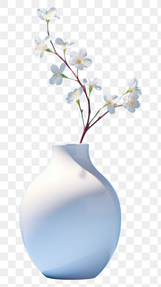 PNG White Vase vase flower plant.
