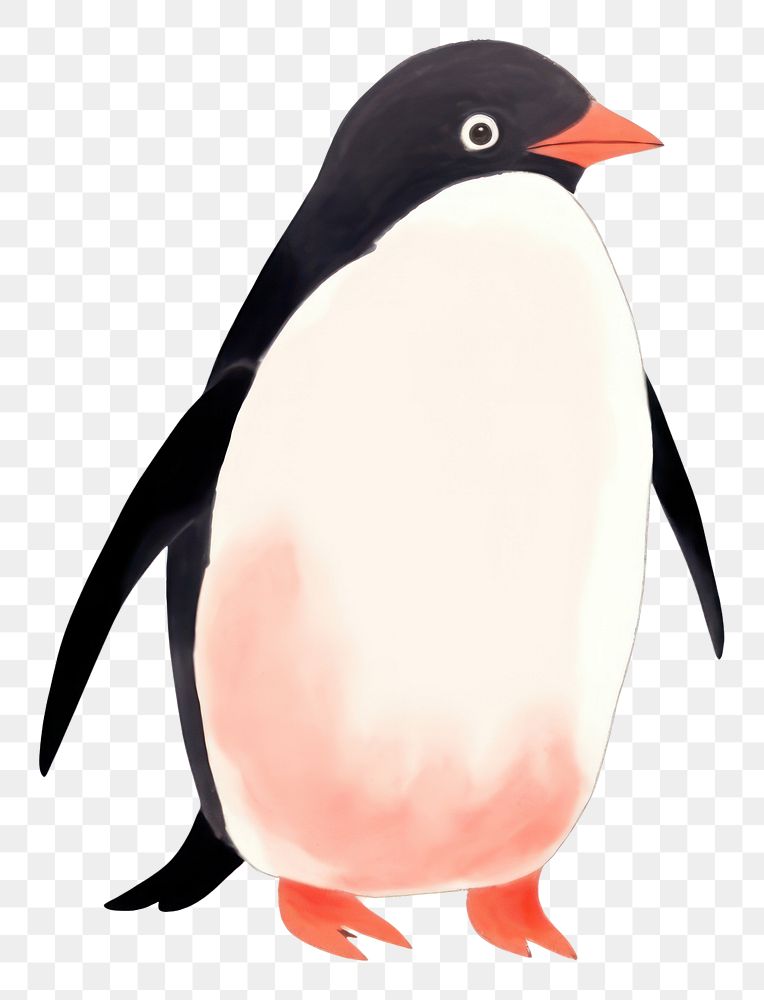 PNG  Penguin animal bird white background. AI generated Image by rawpixel.
