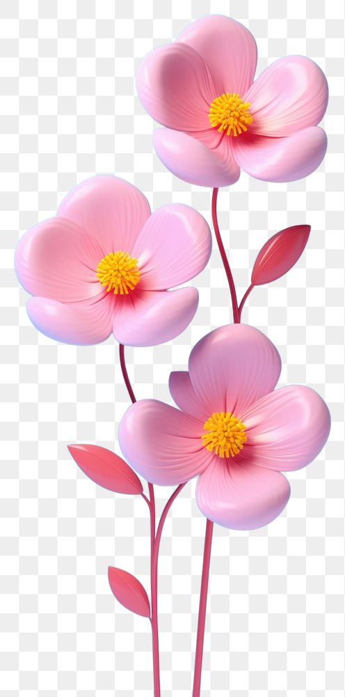PNG Three pinks and yellow flower blossom petal plant. AI generated Image by rawpixel.