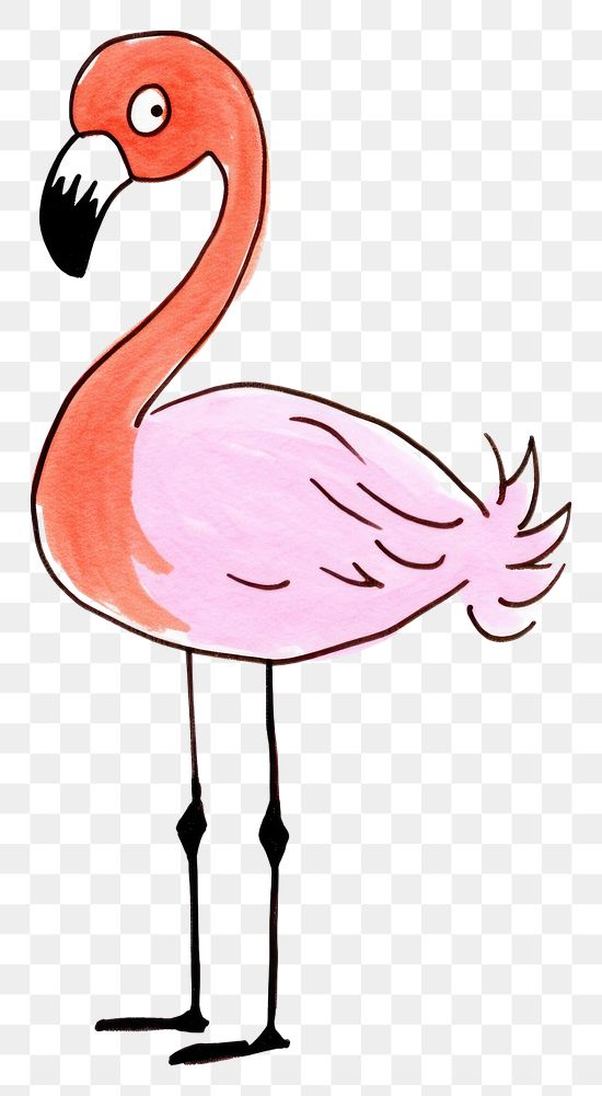 PNG Flamingo cartoon drawing animal.