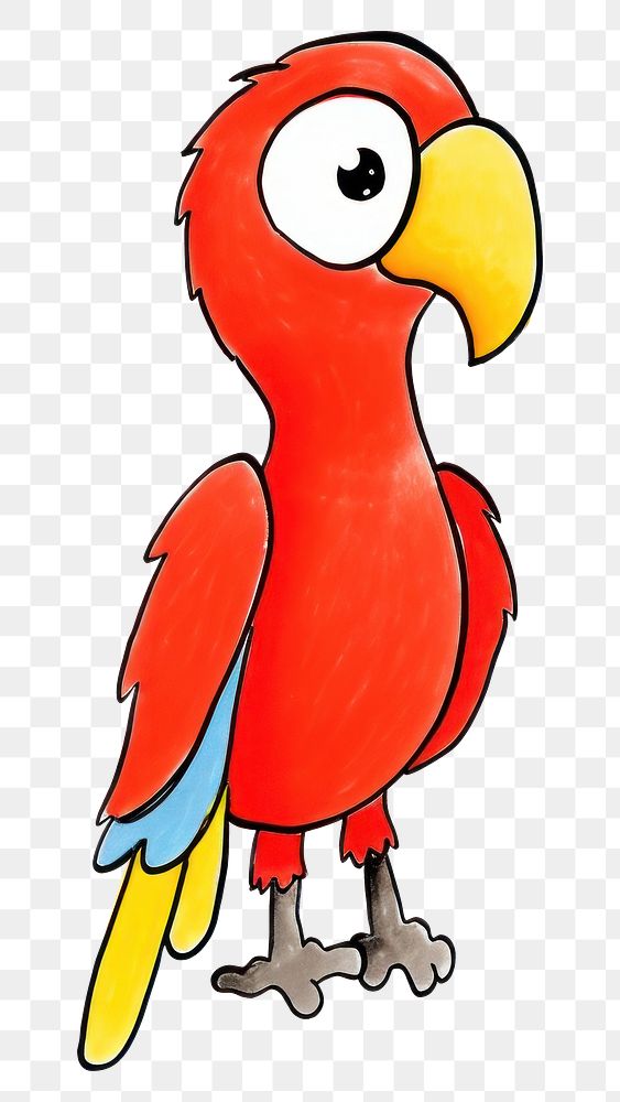 PNG Parrot cartoon drawing animal.