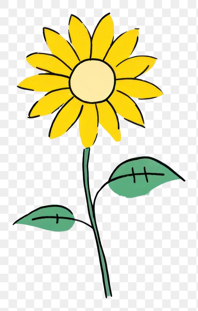 PNG  Sunflower cartoon drawing plant.