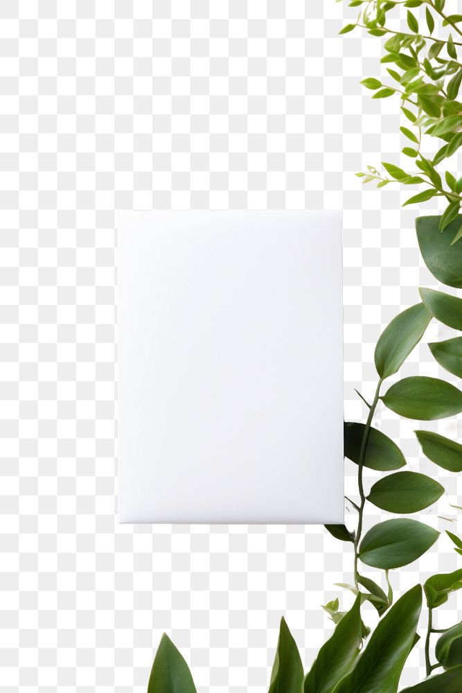 PNG White paper package plant leaf rectangle.