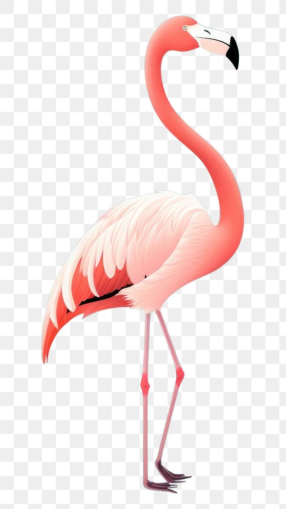 PNG Flamingo animal bird side view. AI generated Image by rawpixel.