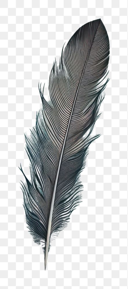 PNG Feather pen backgrounds texture lightweight.