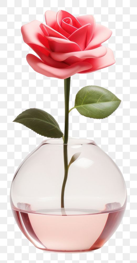 PNG Rose flower glass petal.