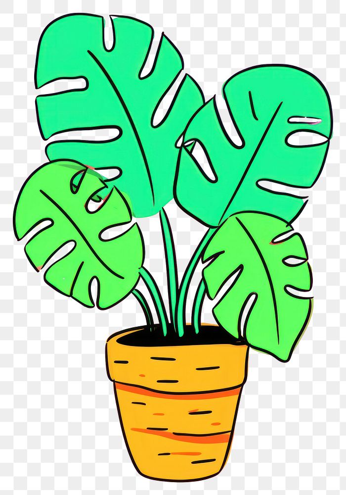 PNG Monstera plant houseplant leaf creativity.