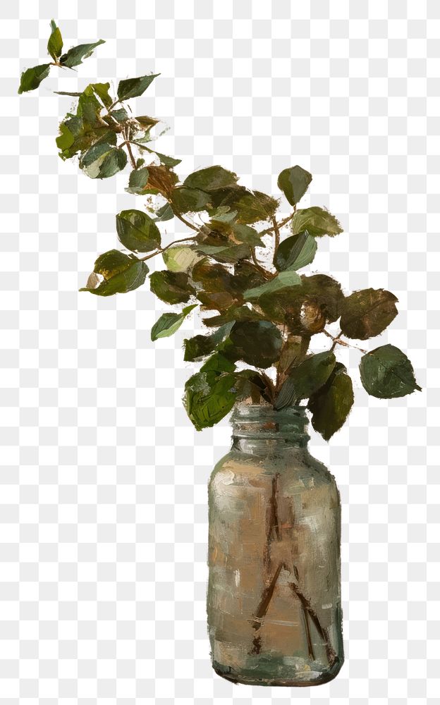 PNG Plant jar leaf vase.