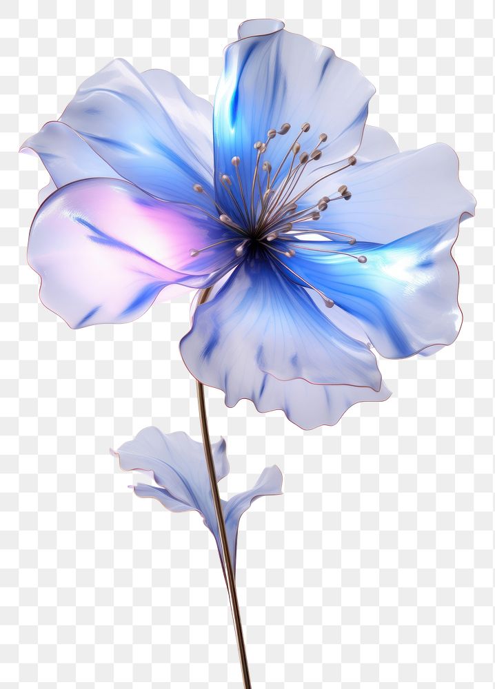 PNG  Blue flower blossom petal plant.
