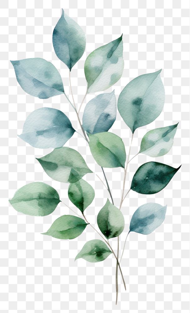 PNG Leaf foliage drawing plant. AI generated Image by rawpixel.