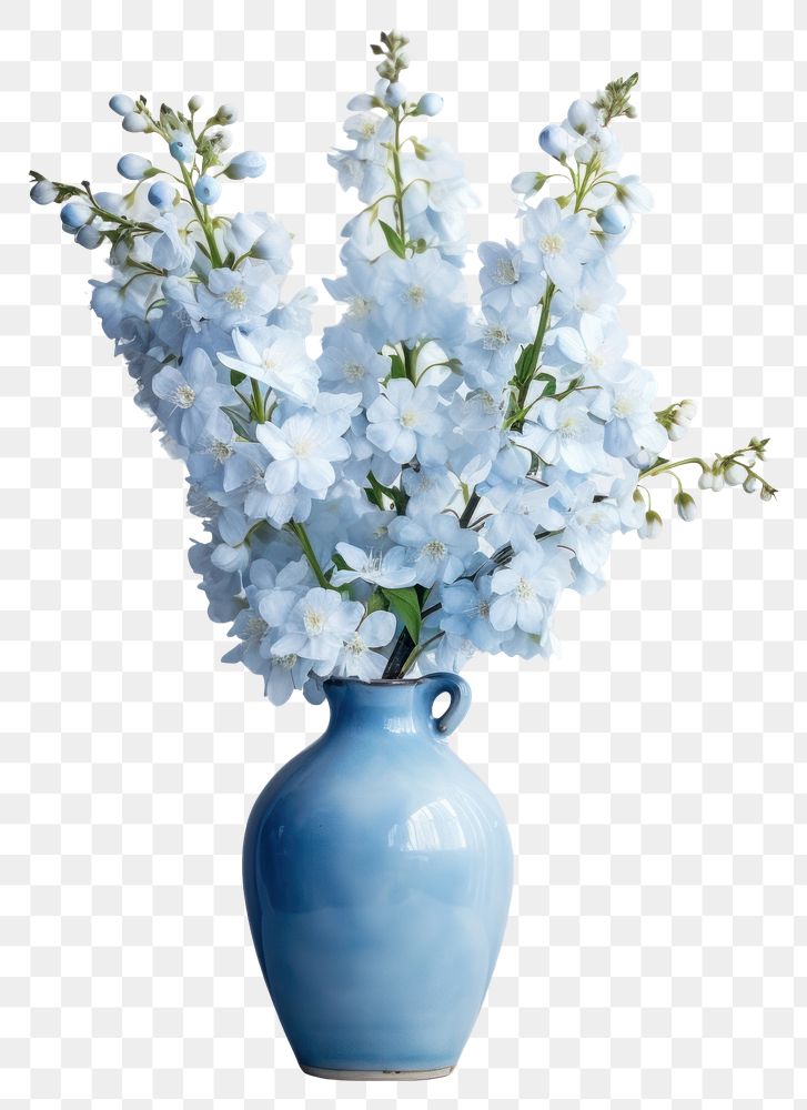 PNG Blue flowers vase blossom plant.