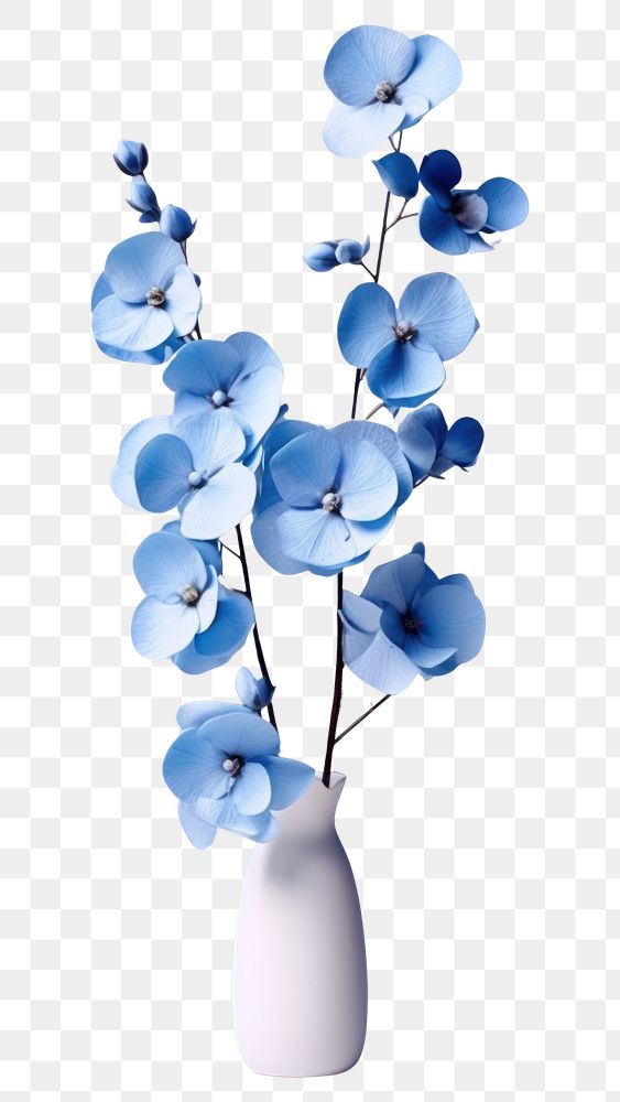 PNG Blue flowers vase plant simplicity.
