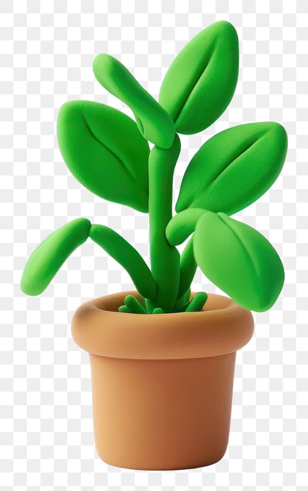 PNG Plant leaf white background potted plant.