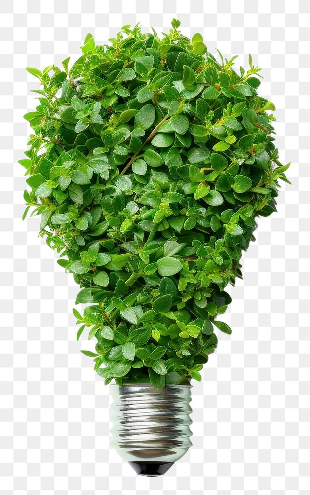 PNG Silhouette of a Light bulb made of Plant plant herbs light.