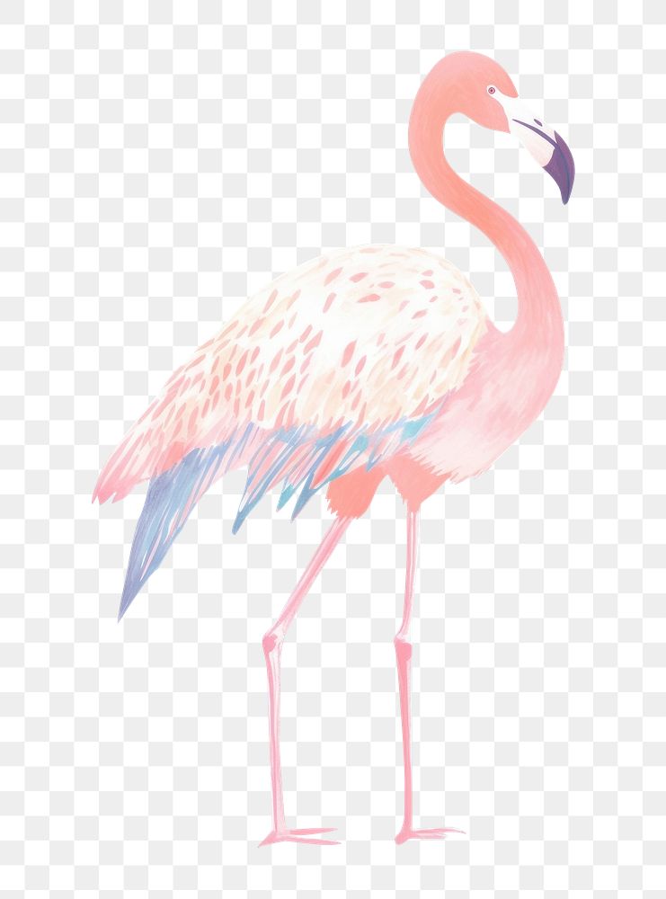 PNG  Flamingo drawing animal bird. AI generated Image by rawpixel.