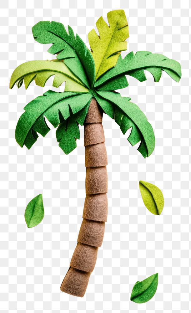 PNG Wallpaper of felt palm tree plant green leaf.