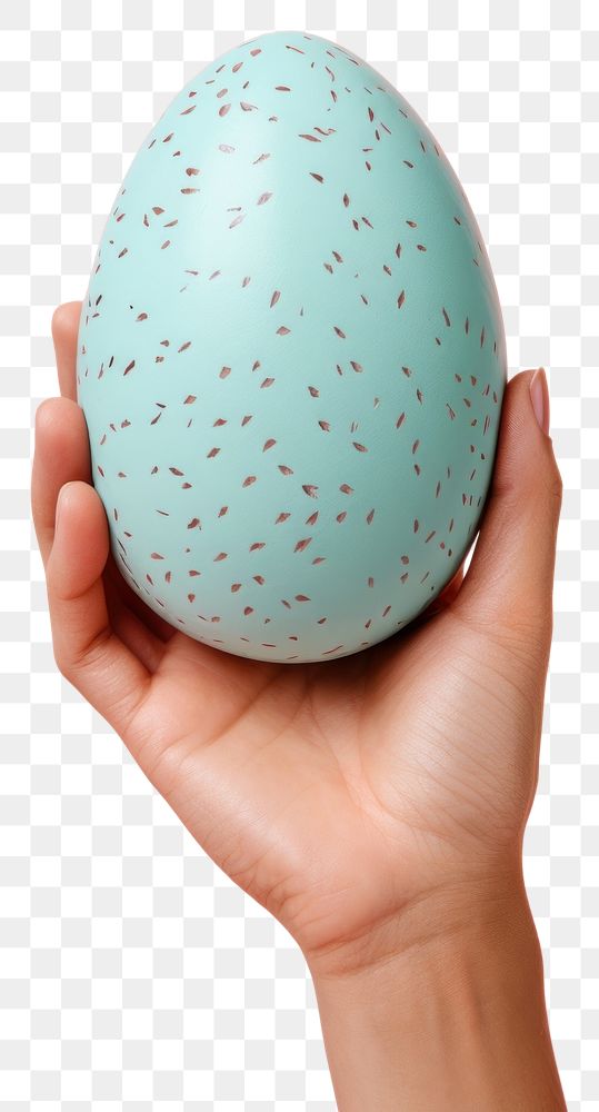 PNG Egg holding finger eggcup.