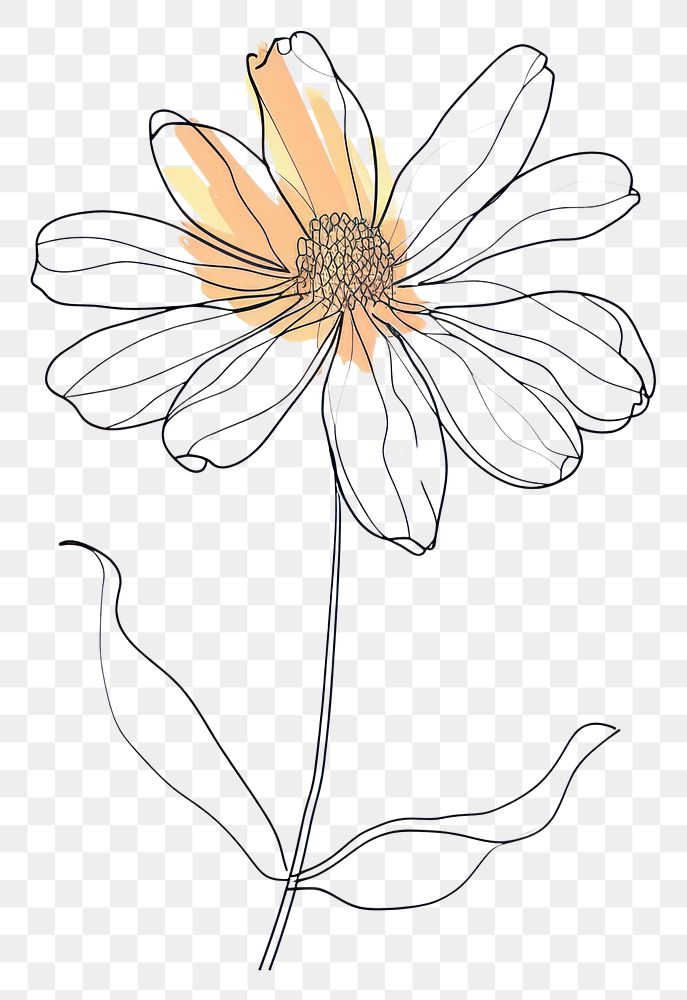 PNG  Continuous line drawing daisy flower sketch plant.