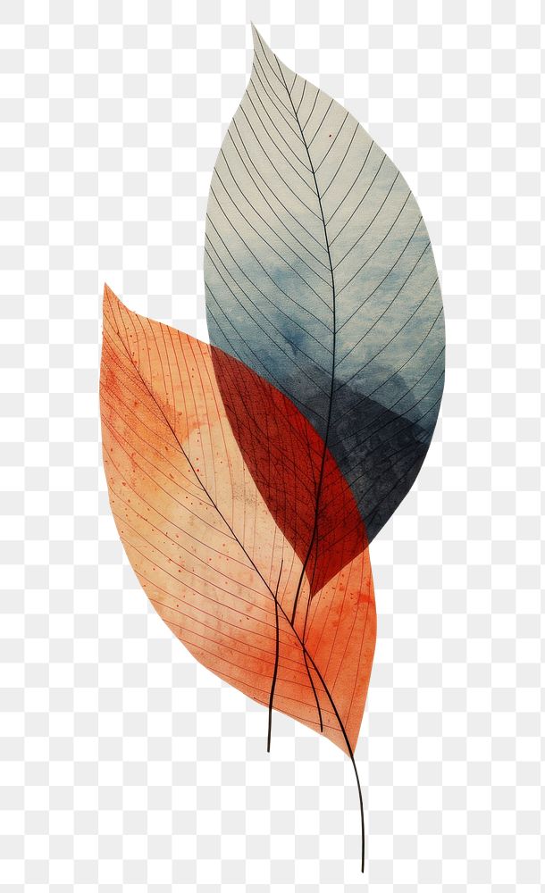 PNG Hint of wallpaper leaf abstract textured painting plant.