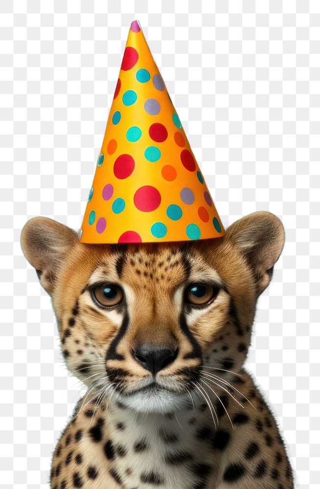 PNG  Collage Retro dreamy cheetah party hat wildlife animal mammal.