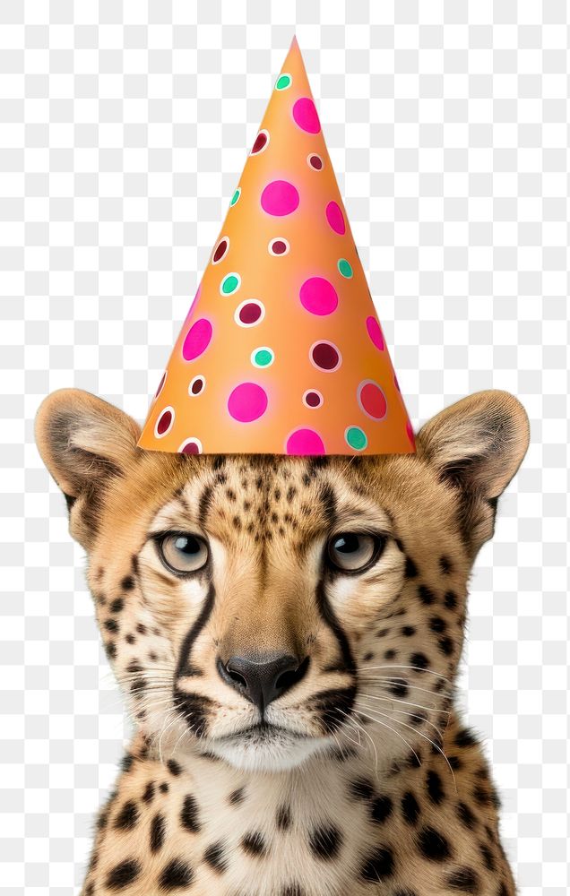 PNG  Collage Retro dreamy cheetah party hat wildlife animal mammal.