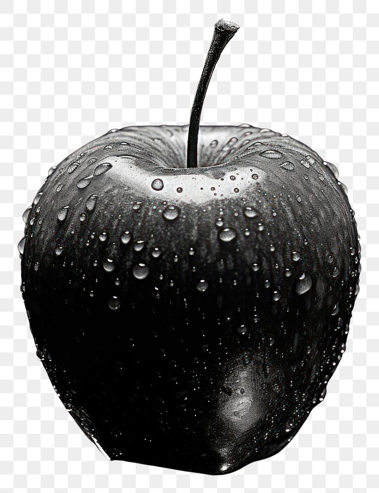 PNG  Photography of apple plant black fruit.