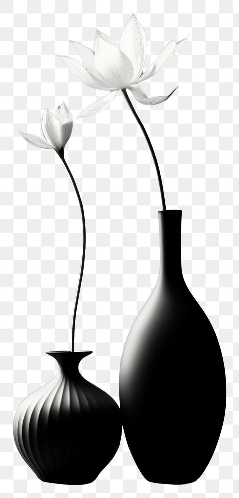 PNG Photography of lotus vase monochrome flower white.