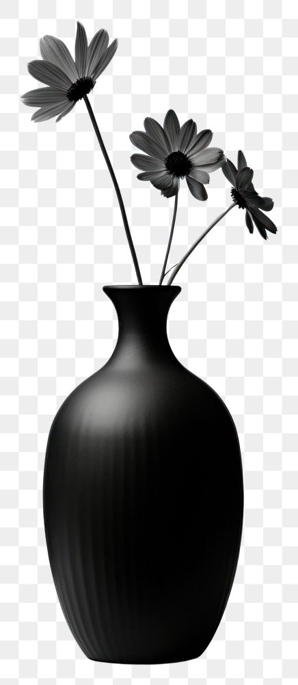 PNG Photography of wildflower in vase plant black monochrome.