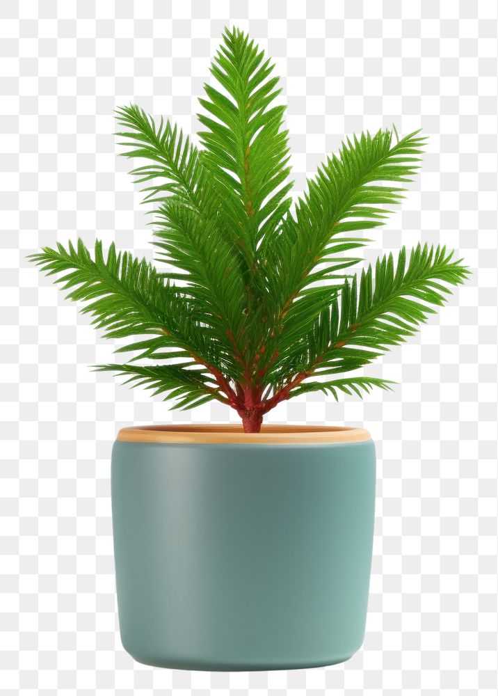 PNG Simple tree pot mockup plant leaf vase.