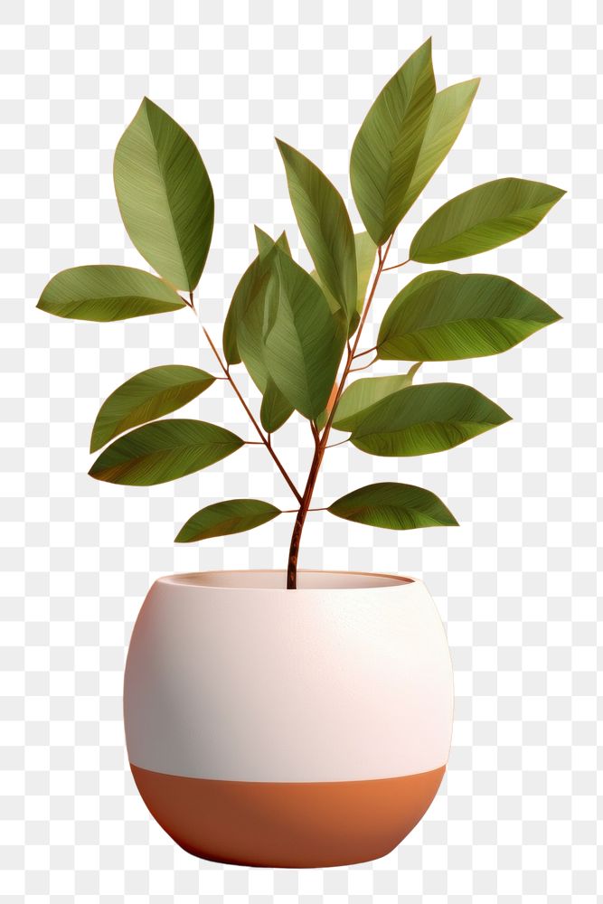 PNG Tree pot mockup plant vase leaf.