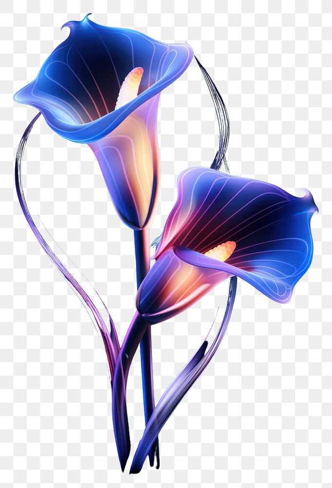 PNG Illustration calla lily neon rim light purple flower petal.